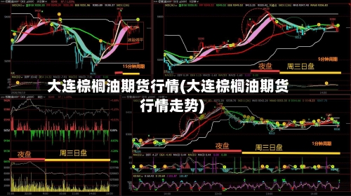 大连棕榈油期货行情(大连棕榈油期货行情走势)-第2张图片