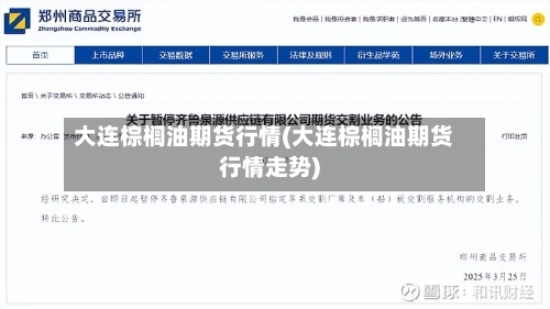 大连棕榈油期货行情(大连棕榈油期货行情走势)