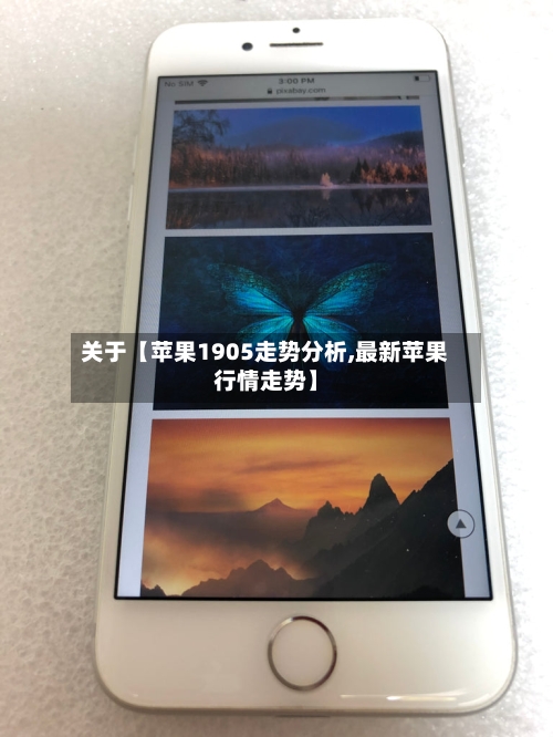 关于【苹果1905走势分析,最新苹果行情走势】-第2张图片