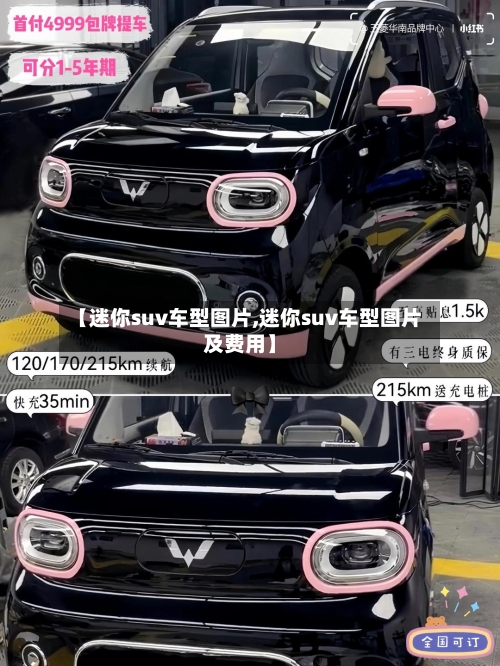 【迷你suv车型图片,迷你suv车型图片及费用】
