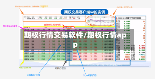 期权行情交易软件/期权行情app-第2张图片