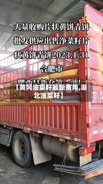 【黄冈油菜籽最新费用,湖北油菜籽】
