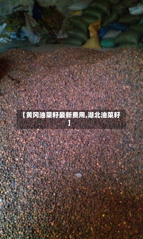 【黄冈油菜籽最新费用,湖北油菜籽】-第2张图片