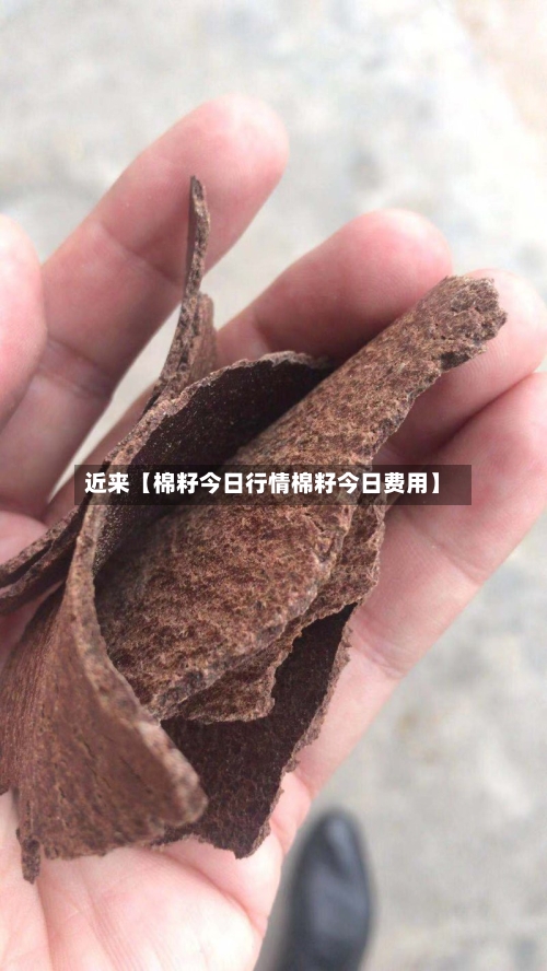 近来【棉籽今日行情棉籽今日费用】