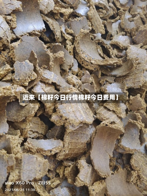 近来【棉籽今日行情棉籽今日费用】-第3张图片
