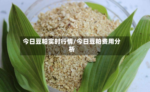 今日豆粕实时行情/今日豆粕费用分析-第2张图片