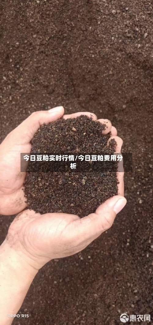 今日豆粕实时行情/今日豆粕费用分析
