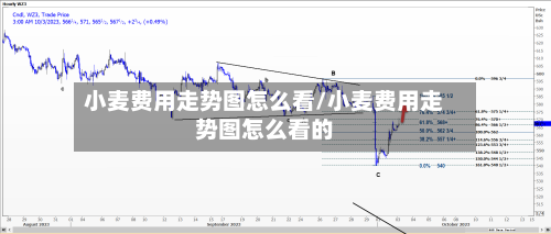 小麦费用走势图怎么看/小麦费用走势图怎么看的-第2张图片
