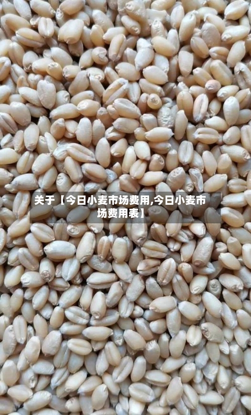 关于【今日小麦市场费用,今日小麦市场费用表】