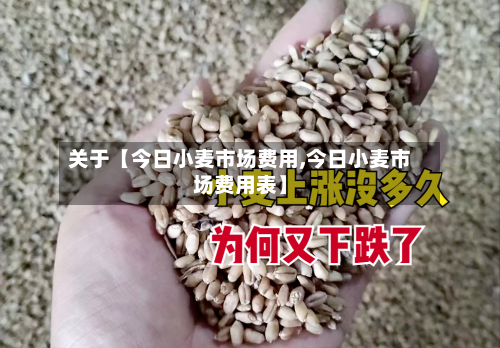 关于【今日小麦市场费用,今日小麦市场费用表】-第3张图片