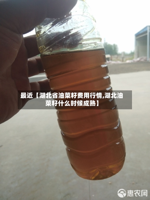 最近【湖北省油菜籽费用行情,湖北油菜籽什么时候成熟】-第2张图片