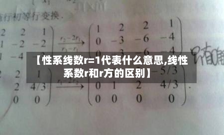 【性系线数r=1代表什么意思,线性系数r和r方的区别】-第3张图片