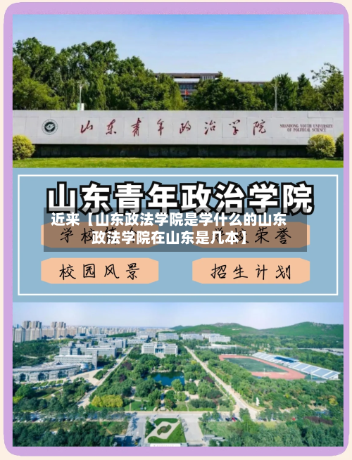 近来【山东政法学院是学什么的山东政法学院在山东是几本】-第2张图片