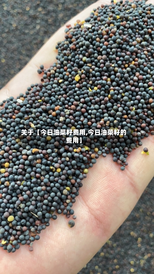 关于【今日油菜籽费用,今日油菜籽的费用】