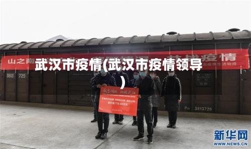 武汉市疫情(武汉市疫情领导)