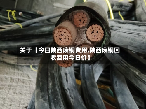 关于【今日陕西废铜费用,陕西废铜回收费用今日价】
