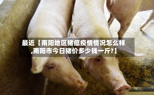 最近【南阳地区猪瘟疫情情况怎么样,南阳市今日猪价多少钱一斤?】