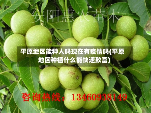 平原地区能种人吗现在有疫情吗(平原地区种植什么能快速致富)-第2张图片