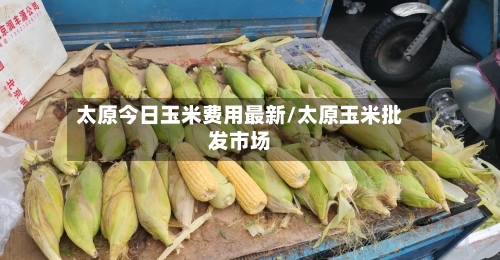 太原今日玉米费用最新/太原玉米批发市场-第2张图片