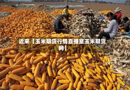 近来【玉米期货行情直播室玉米期货网】-第2张图片