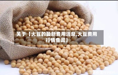 关于【大豆的最新费用消息,大豆费用行情查询】