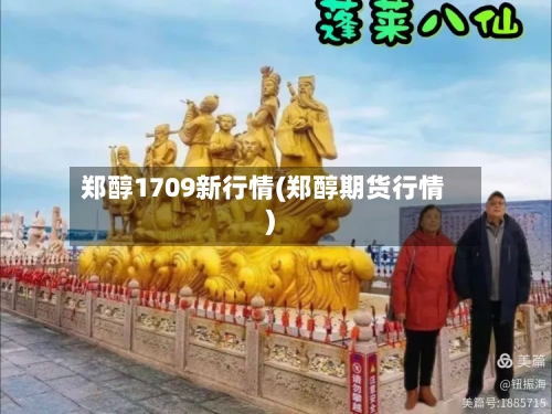 郑醇1709新行情(郑醇期货行情)