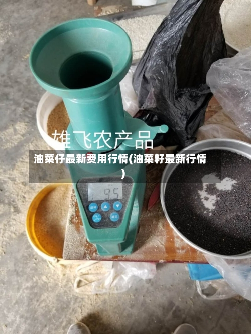 油菜仔最新费用行情(油菜籽最新行情)