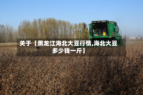 关于【黑龙江海北大豆行情,海北大豆多少钱一斤】