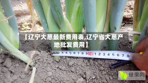 【辽宁大葱最新费用表,辽宁省大葱产地批发费用】-第2张图片