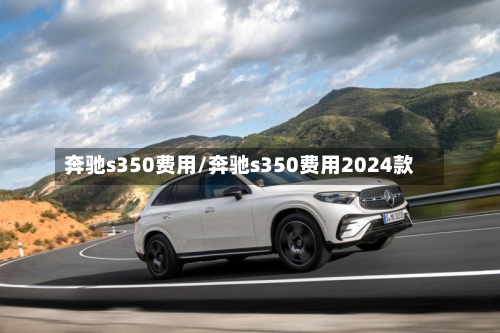 奔驰s350费用/奔驰s350费用2024款