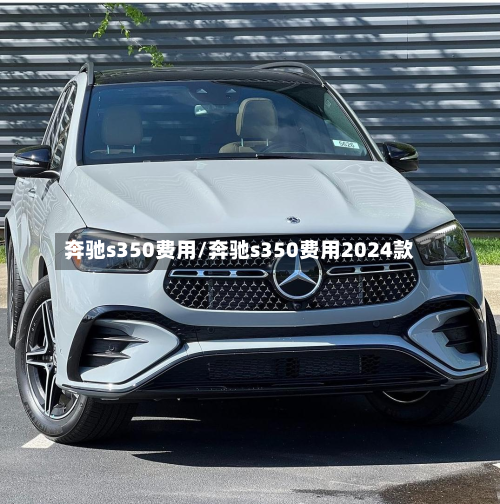 奔驰s350费用/奔驰s350费用2024款-第2张图片