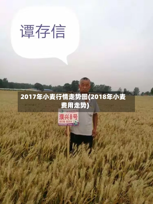 2017年小麦行情走势图(2018年小麦费用走势)