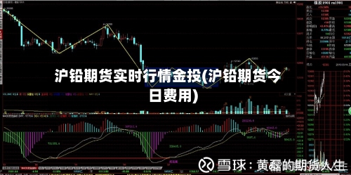 沪铅期货实时行情金投(沪铅期货今日费用)