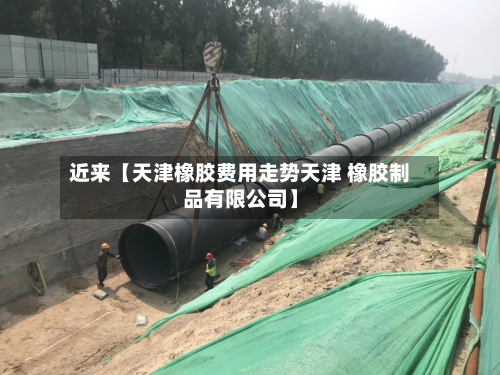 近来【天津橡胶费用走势天津 橡胶制品有限公司】-第2张图片