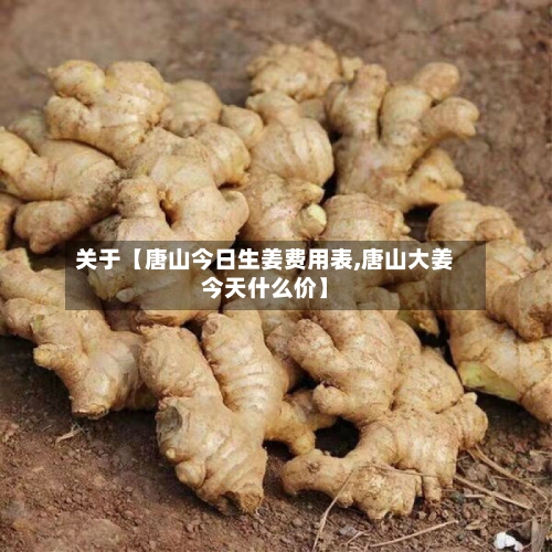 关于【唐山今日生姜费用表,唐山大姜今天什么价】