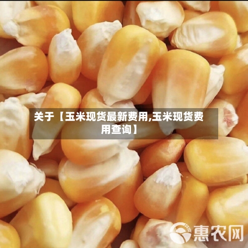 关于【玉米现货最新费用,玉米现货费用查询】