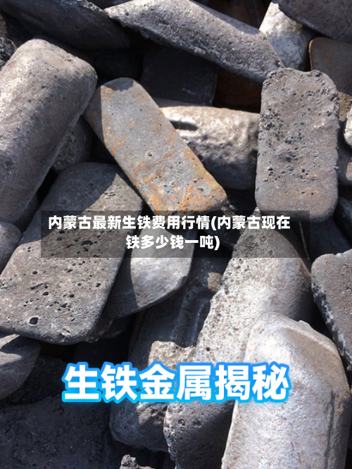 内蒙古最新生铁费用行情(内蒙古现在铁多少钱一吨)-第2张图片