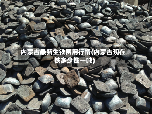 内蒙古最新生铁费用行情(内蒙古现在铁多少钱一吨)