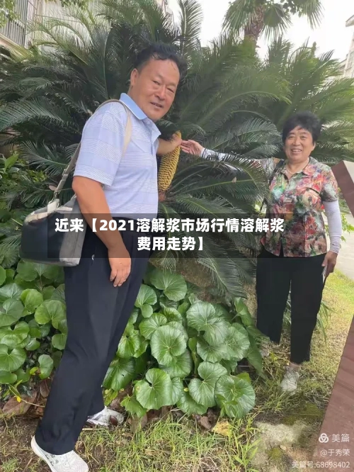 近来【2021溶解浆市场行情溶解浆费用走势】-第2张图片