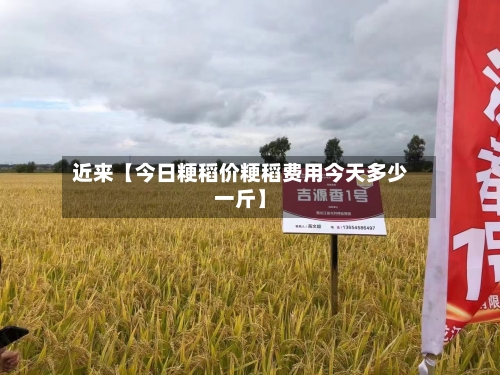 近来【今日粳稻价粳稻费用今天多少一斤】