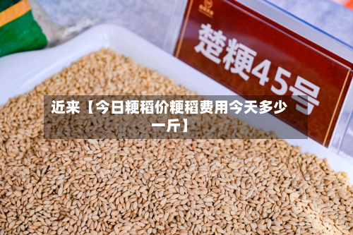 近来【今日粳稻价粳稻费用今天多少一斤】-第2张图片