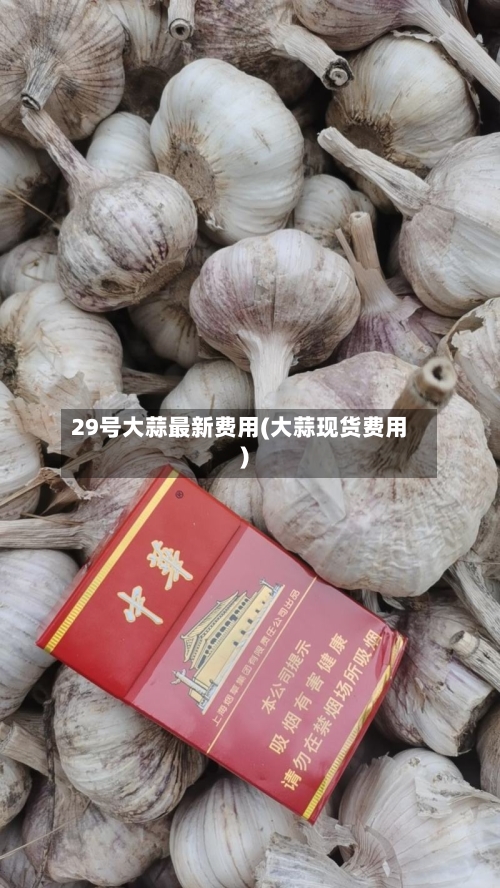 29号大蒜最新费用(大蒜现货费用)