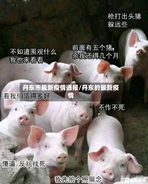 丹东市最新疫情通报/丹东的最新疫情-第3张图片