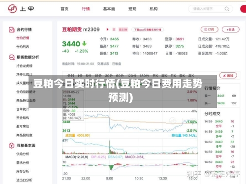 豆粕今日实时行情(豆粕今日费用走势预测)