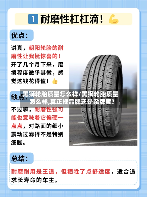 黑狮轮胎质量怎么样/黑狮轮胎质量怎么样,算正规品牌还是杂牌呢?-第3张图片