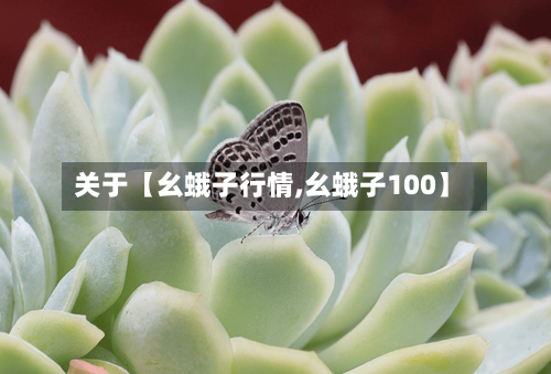 关于【幺蛾子行情,幺蛾子100】-第3张图片