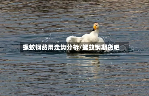 螺蚊钢费用走势分柝/螺蚊钢期货吧
