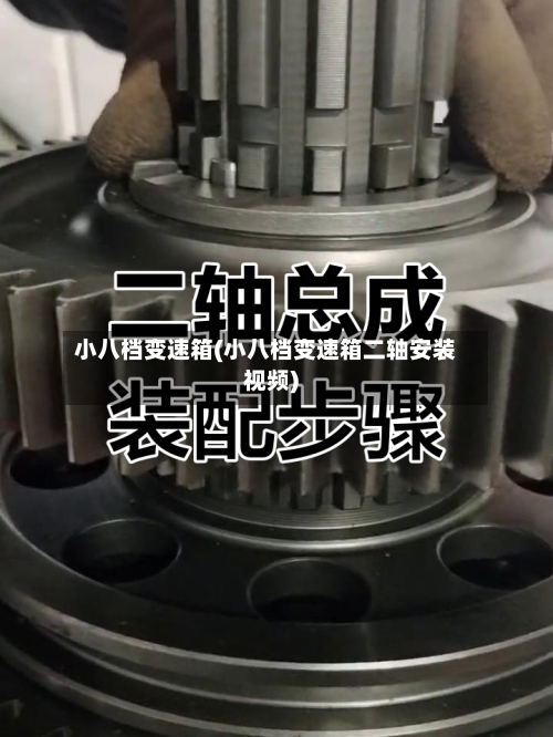 小八档变速箱(小八档变速箱二轴安装视频)