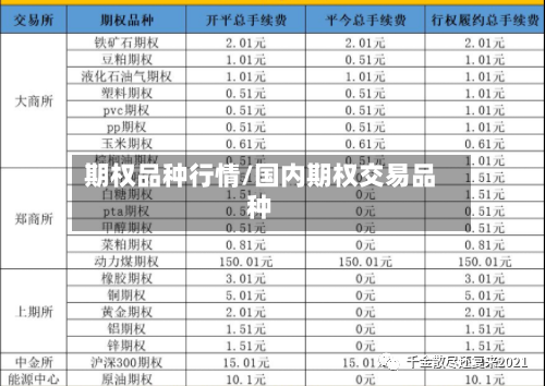期权品种行情/国内期权交易品种