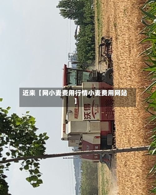 近来【网小麦费用行情小麦费用网站】-第2张图片